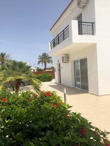 Villa Olivia, 珊瑚湾 外观 照片