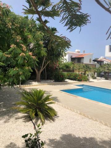 Villa Olivia, 珊瑚湾 外观 照片